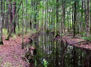 2150 Hughes Dr, Cottageville, SC 29435