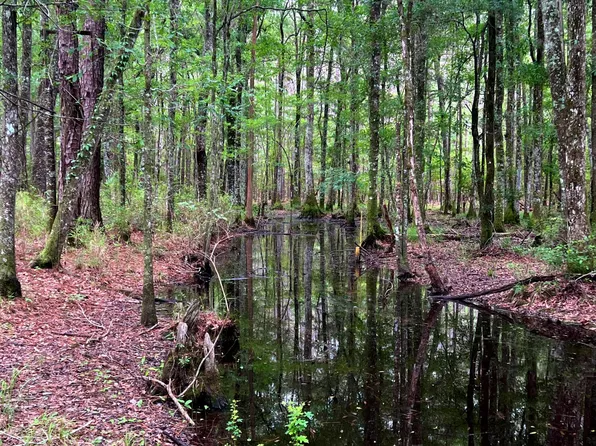 2150 Hughes Dr, Cottageville, SC 29435