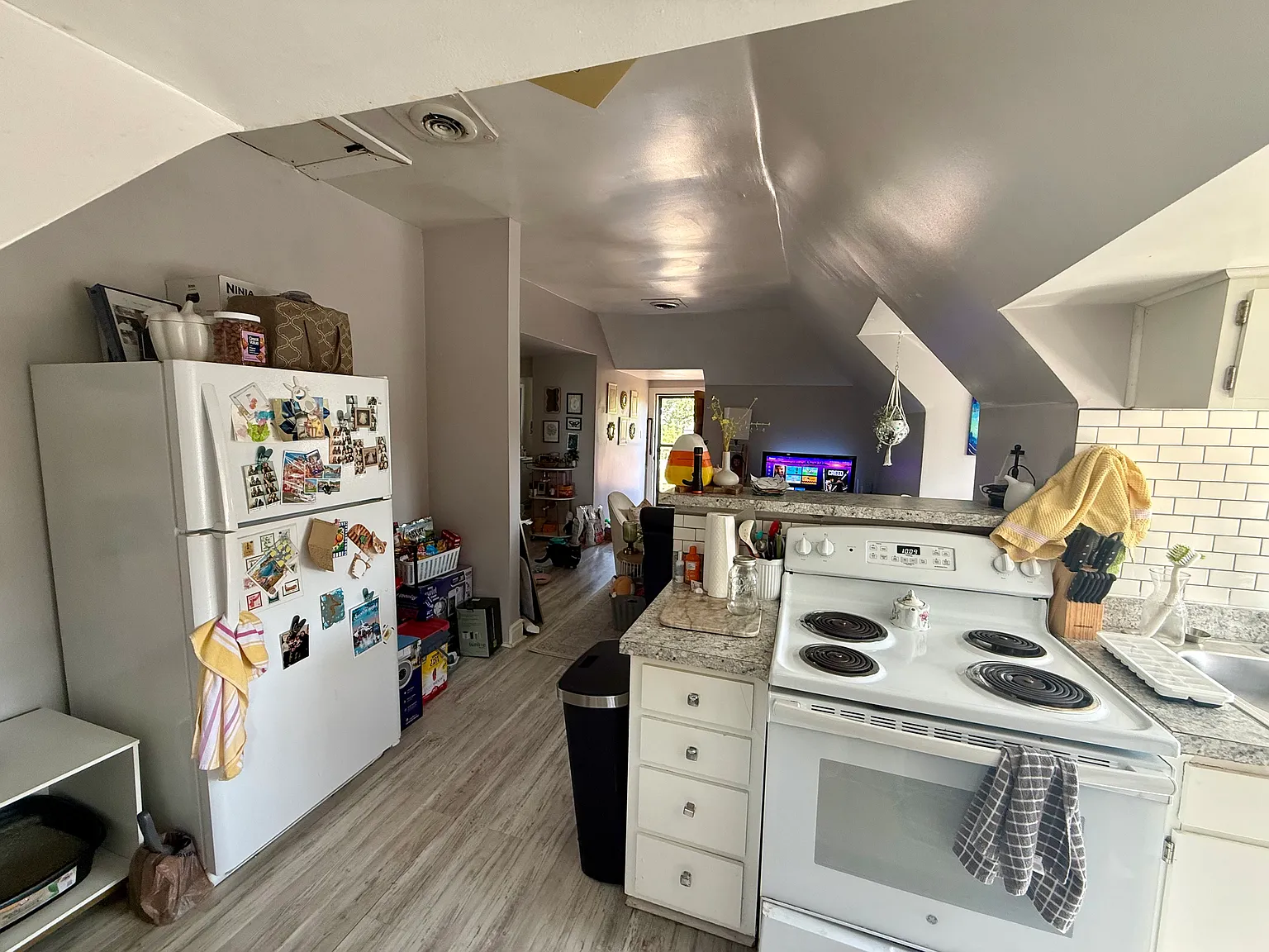 1 bed, 850 sqft, $850 — Photo 3