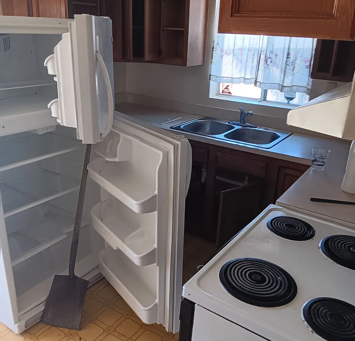 1 bed, 700 sqft, $1,250 — Photo 3