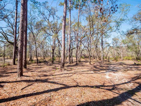 108 NE West Peppermint Trl, Pinetta, FL 32350