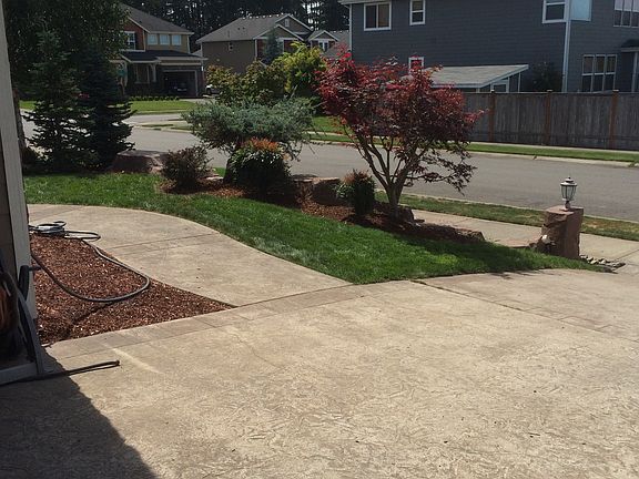 communtiy view/front yard