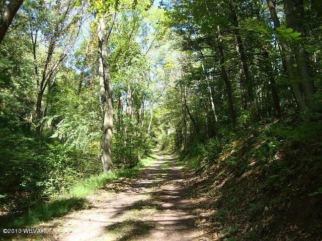 2nd image of 93 Savage Hill Rd