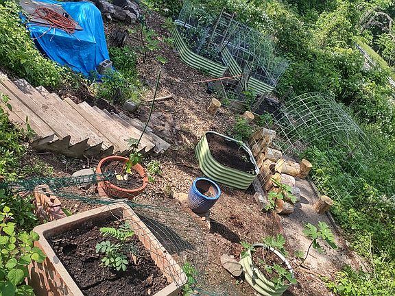 This part of the property is currently overgrown but has lots of gardening potential.