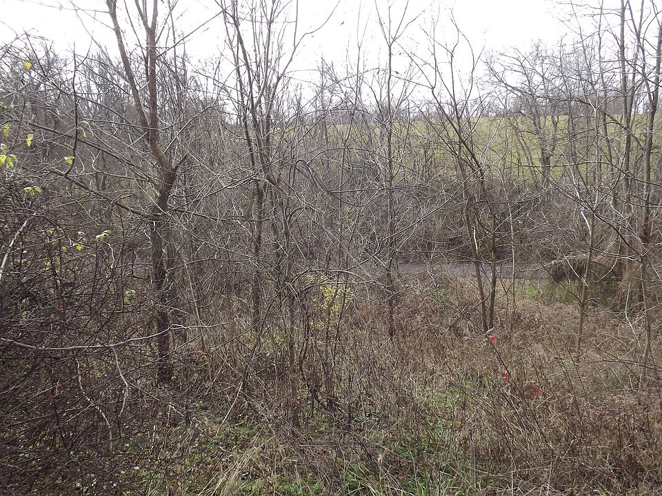 2nd image of 901 Mt Zion Rd