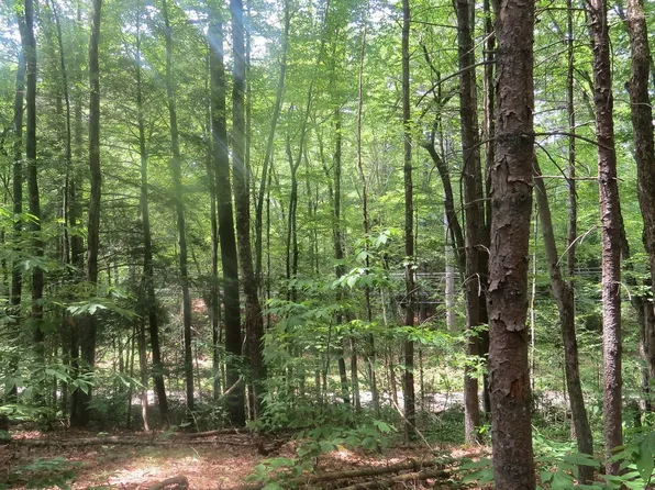 LOT 1 Pratt Corner Rd, Leverett, MA 01054