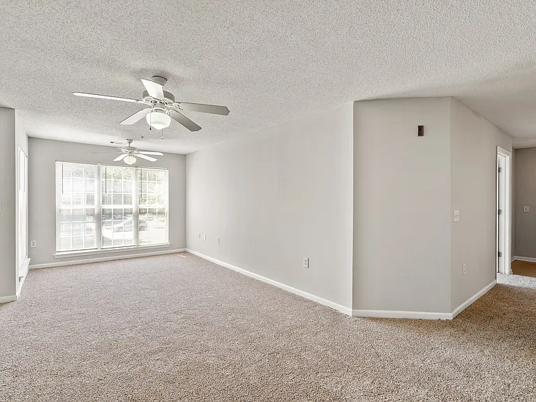Palms on Ashley River Apartments — Photo 7