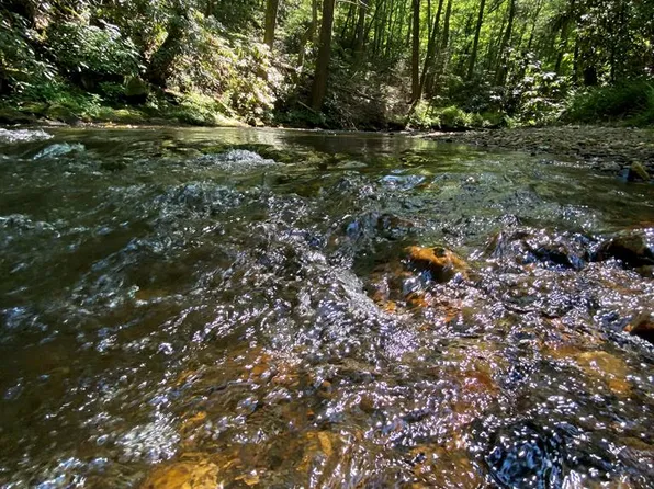Bushy Head Rd, Blue Ridge, GA 30513