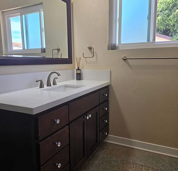 31292 Ysidora St — Photo 46