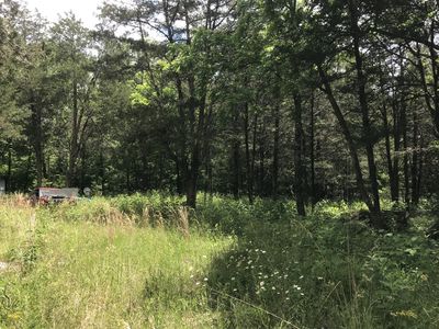 1981 Luther Sharp Rd, Columbia, TN, 38401
