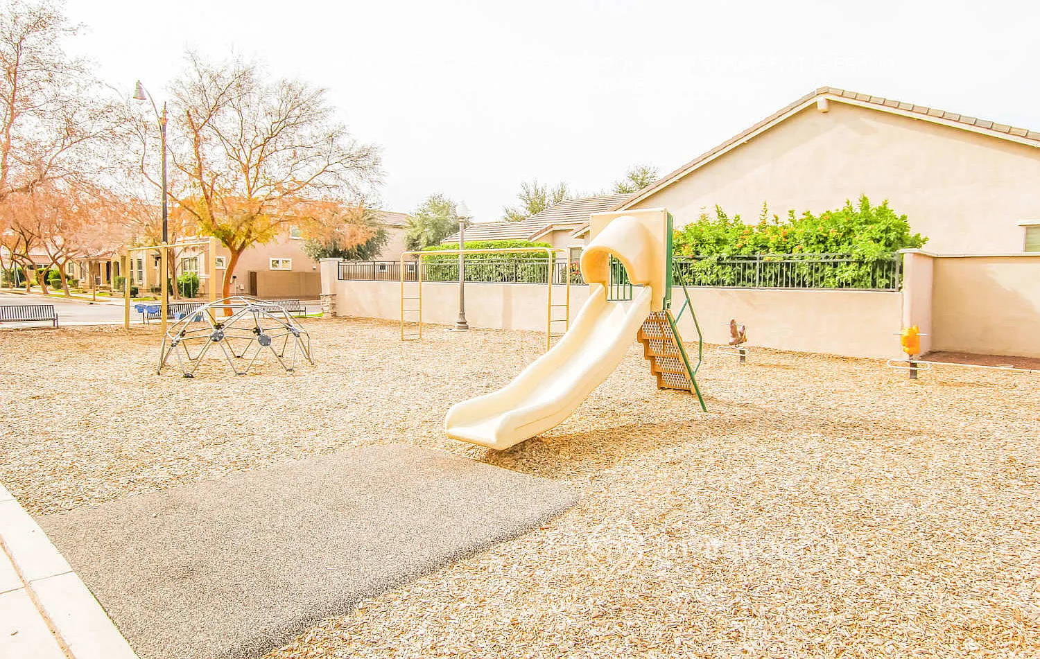 3376 E Liberty Ln Gilbert, AZ 85296 — Photo 4