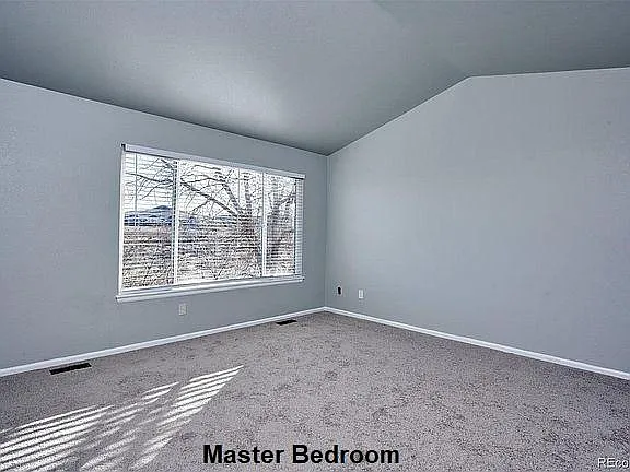 10344 Lone Lynx — Photo 20