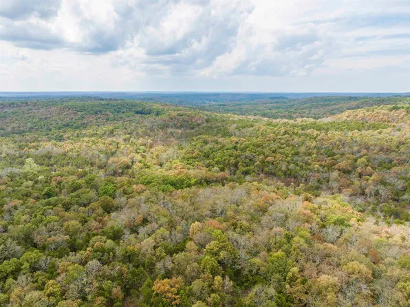 0 Buck Ridge Ln, Williford, AR 72482