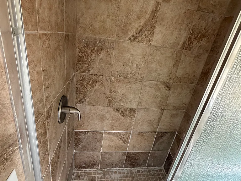 Primary Shower