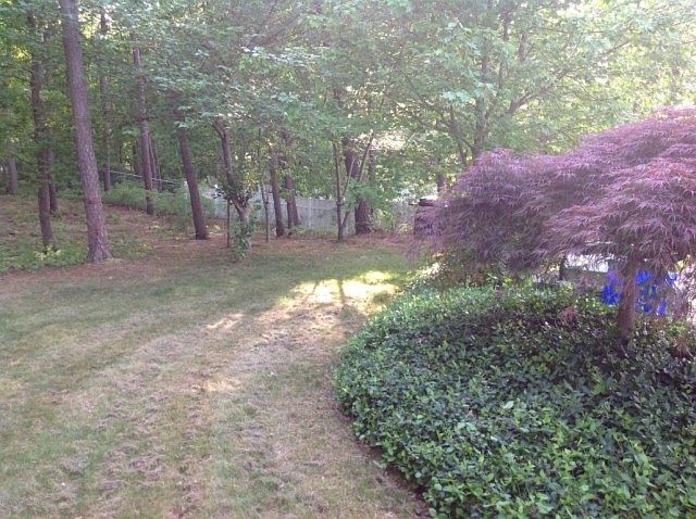 1st image of 12 Swiss Mountain Dr