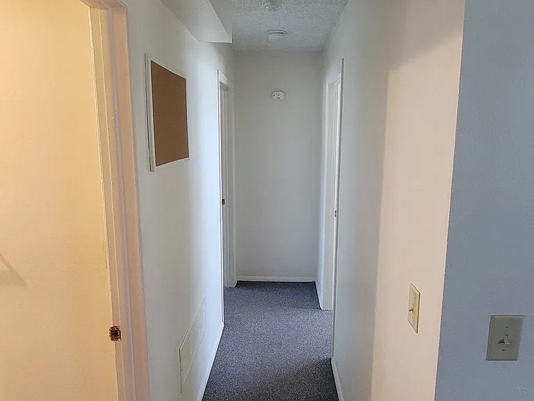 Hall to bedrooms.