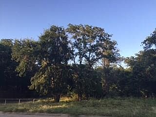 4th image of 1556 Sea Breeze Ln