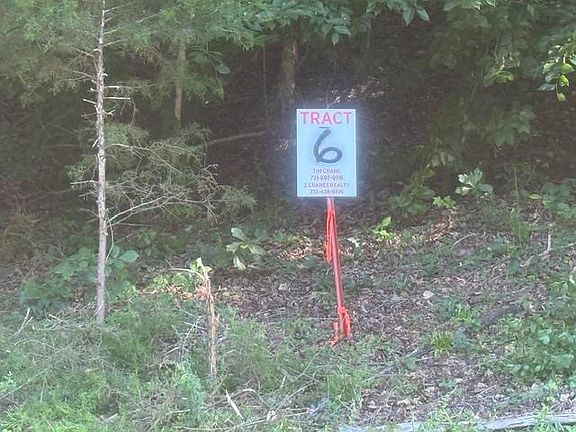 2nd image of TRACT 6 Carroll Hollow Rd