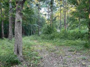 101 Point St, Chapin, SC 29036