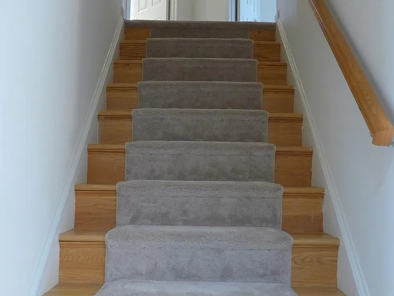 10008 Manor Pl — Photo 19