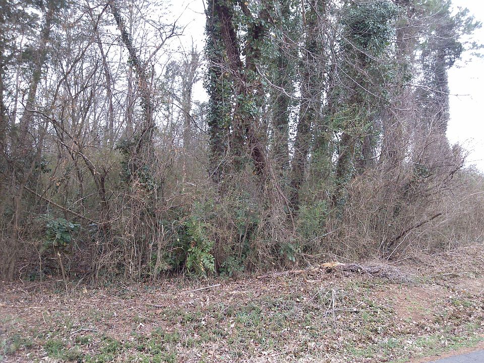 2nd image of Coulter Shoals Cir