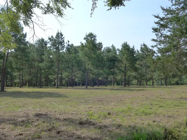 Finch Rd, Gilmer, TX 75645