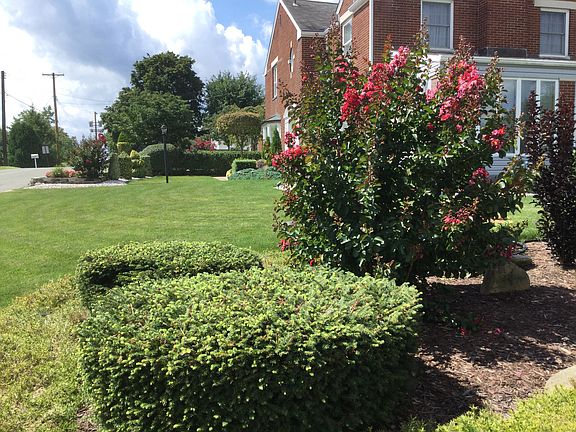 Beautiful landscaping