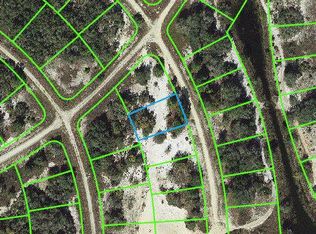340 Cinema Dr, Lake Placid, FL 33852