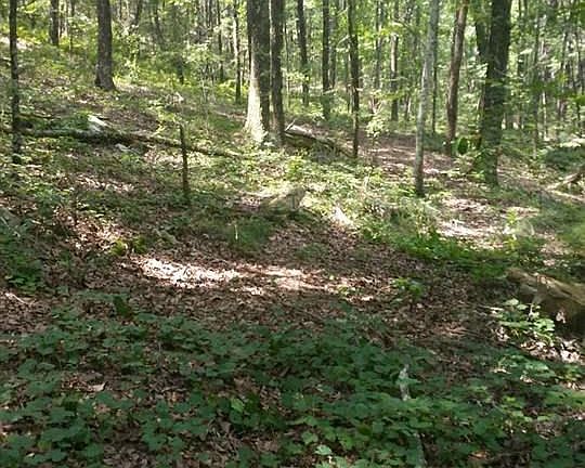 4th image of 1028 Long Leaf Lake Dr