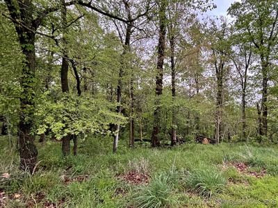 1229 Pheasant Run Rd, Kansas, OK, 74347