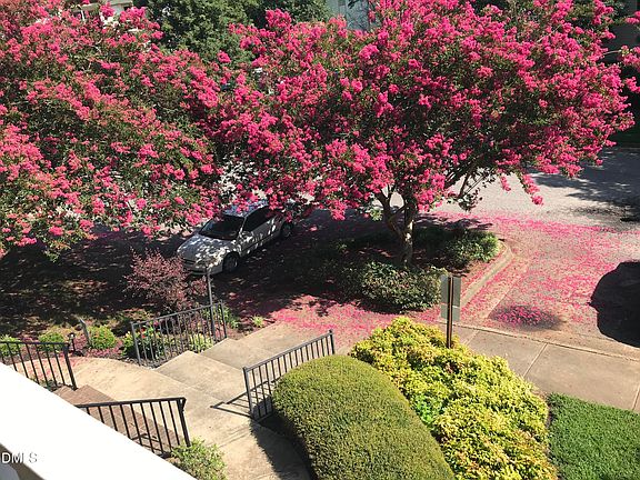 2nd image of 1521 Creekwood Ct Unit 203