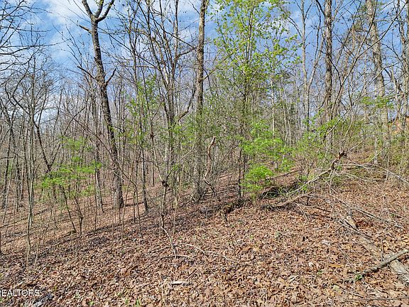 4th image of 0 Thompson Rd Lot 153