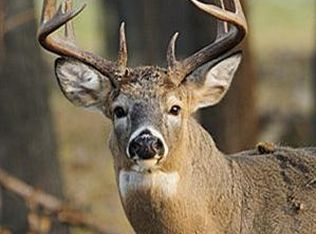 S Minges Rd, Battle Creek, MI 49015