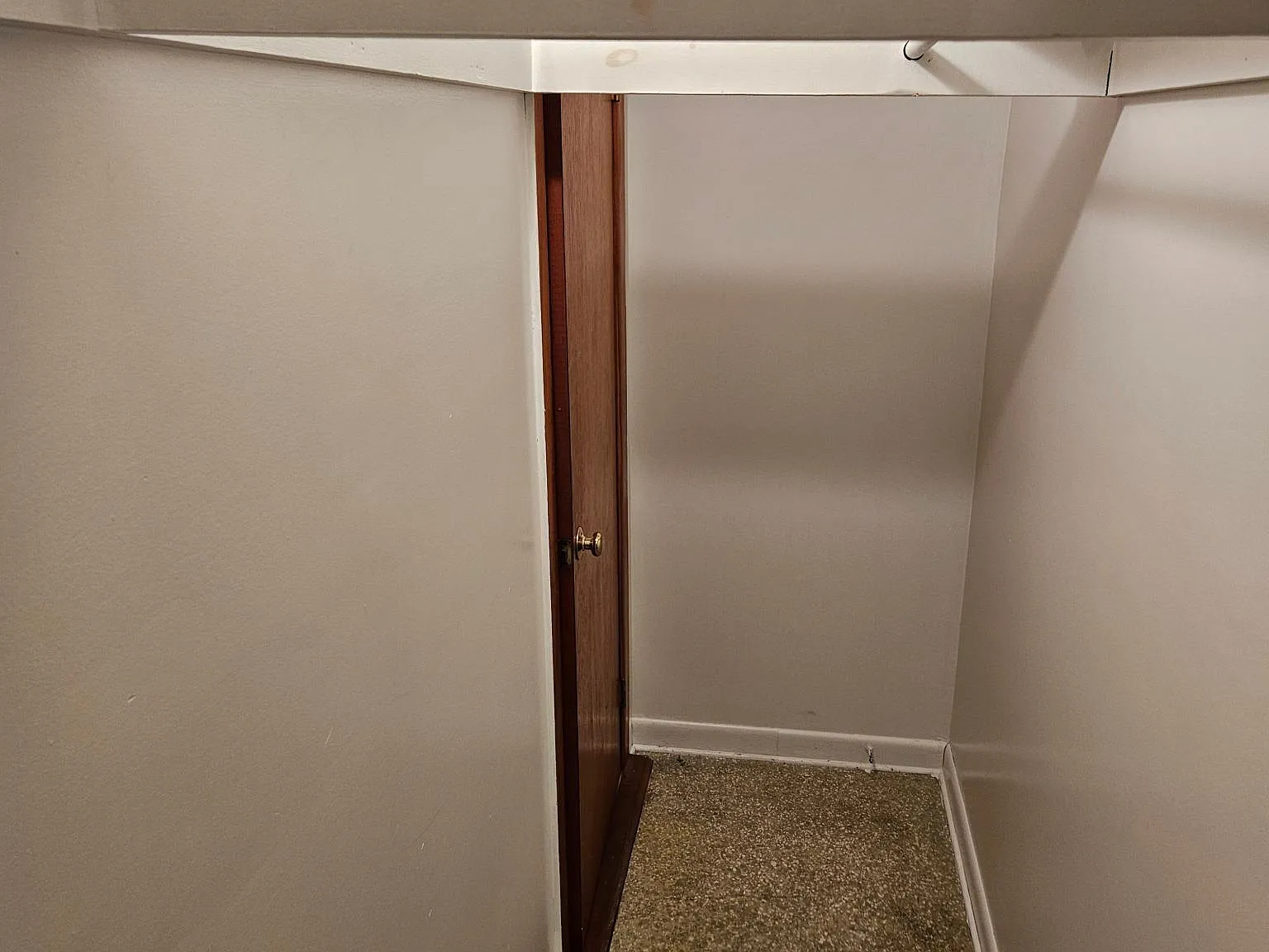 19 York St — Photo 4