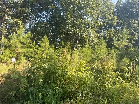 4th image of TRACT 1 Belew Hollow Rd