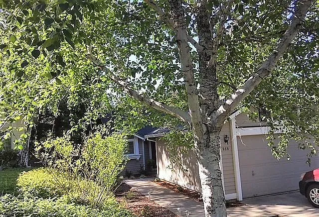 286 Horizon Cir — Photo 20