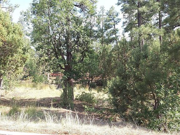 3rd image of 2251 Evergreen Ln