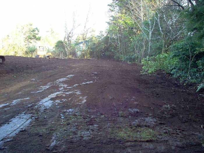 During the Clearing