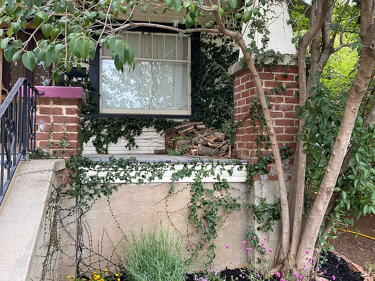 Linden Ave — Photo 29