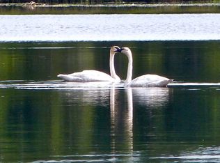 N9172 Kelly Ln, Deerbrook, WI 54424