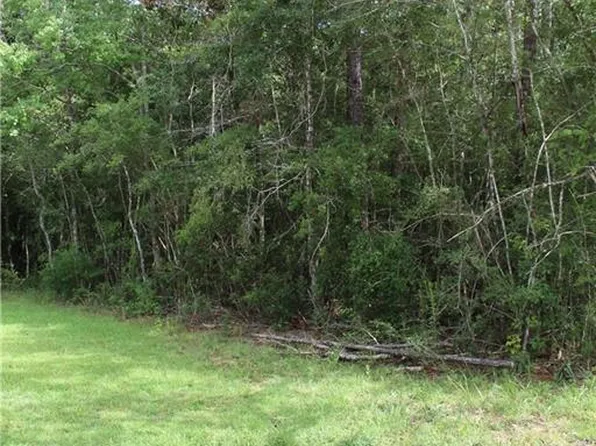 Deer Creek Dr, Ponchatoula, LA 70454