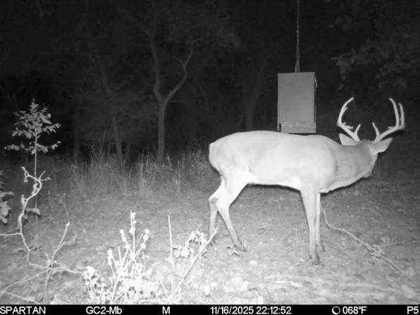 8591 Witter Ln, Temple, TX 76502