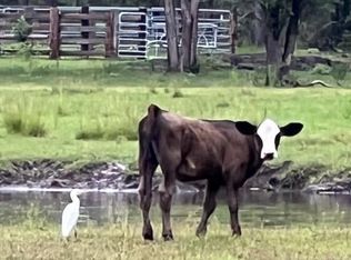 3854 Skipper Rd, Vernon, FL 32462