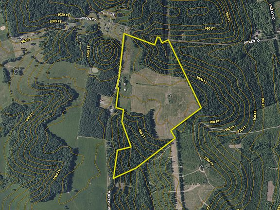 3rd image of 2229 Turkey Run Rd