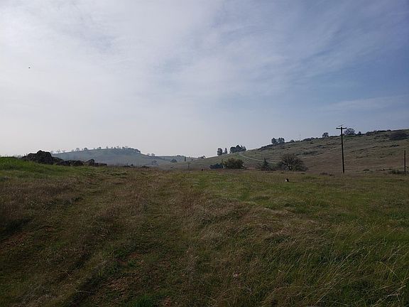 5th image of 9600 Banderilla Dr