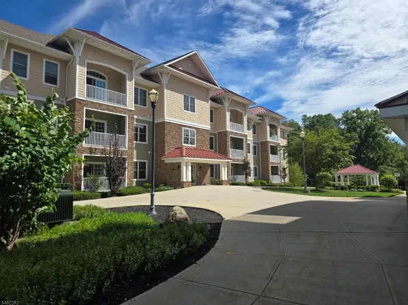 234 NO Branch River Rd Ondo, Branchburg Twp., NJ 08876