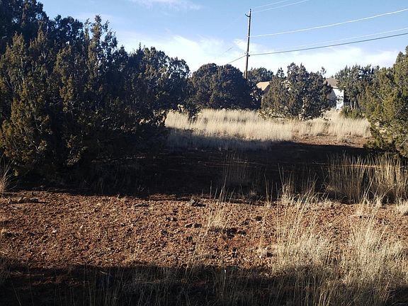 5th image of 1798 Snyder Cir