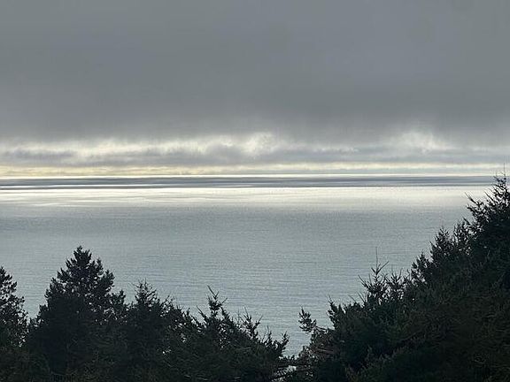 5th image of 233 Nob Hill Rd