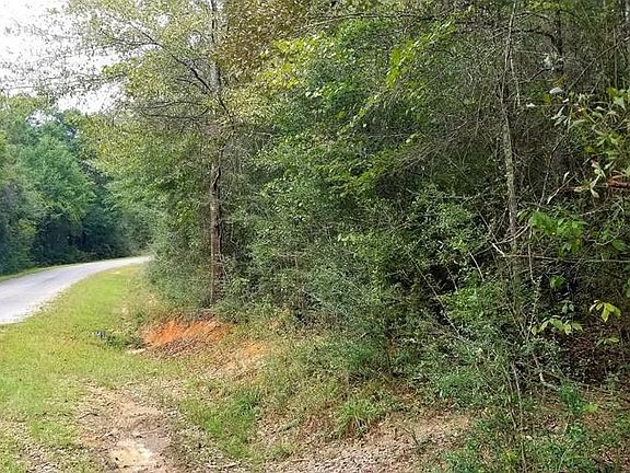 3rd image of 270 Wildflower Cir
