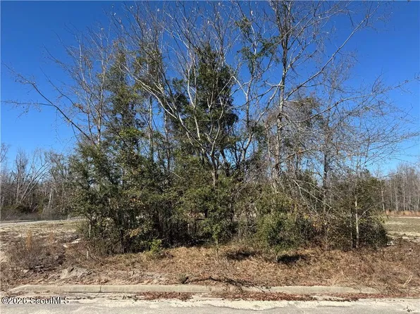 0 Meadowbrook St, Vidalia, GA 30474
